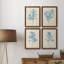 Verditer Fig I - ensemble de 4 reproductions d'art sur toile encadrées-278428331-278428340