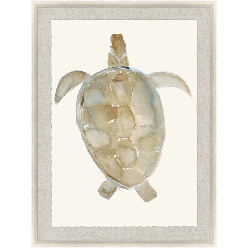 Tortue neutre I