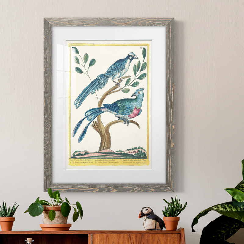 Pastel Birds VI Premium encadré mat - prêt à être accroché, H 24 po x l 20 po x P 1 po, Cadre gris