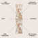 Clemencio Abstract Marbled Modern Orange/Cream Rug