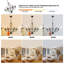 Kenwyn 6 - Light Wagon Wheel Chandelier