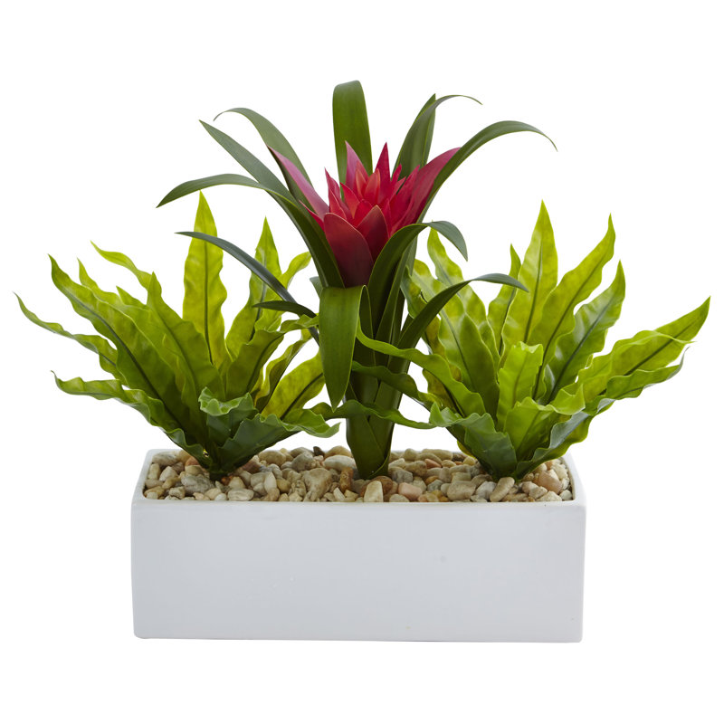 Agencement de fleurs en mélange de bromeliad/oiseau rectangulaire en pot à fleurs