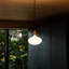 Oval II Plug-In Pendant In Brass