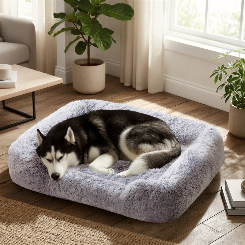Tous les lits pour chien