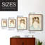 «Seraphin I»-308276400-308276428