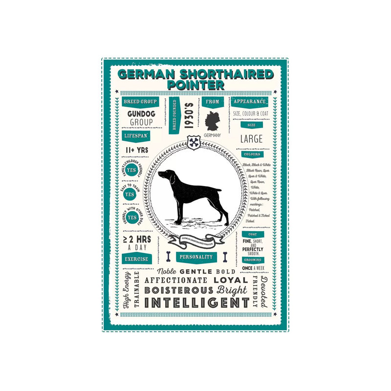 «German Short Haired Pointer», infographie - bleu par PaperPaintPixels - impression sur toile tendue