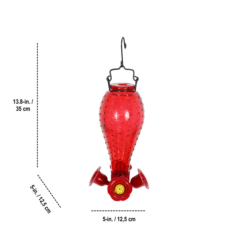 Nishath Glass Hanging Hummingbird Feeder