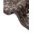 Brandt Floral Indoor Rug-1417883132-1400532614