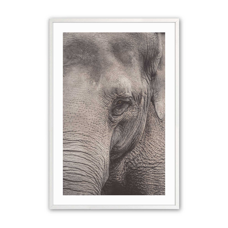 «Wise Gaze Print», dans un cadre,, H 25 po x l 19 po x P 1,25 po, Cadre opaque blanc