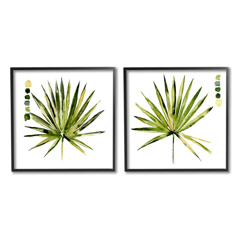 Guide de teinte de la plante de palmier Spike Aloe - Jennifer Paxton Parker, Giclée encadrée noir minuit, H 12 po x l 12 po