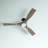 Ferland 60'' Ceiling Fan with LED Lights-1364060016