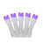 Purple/White
