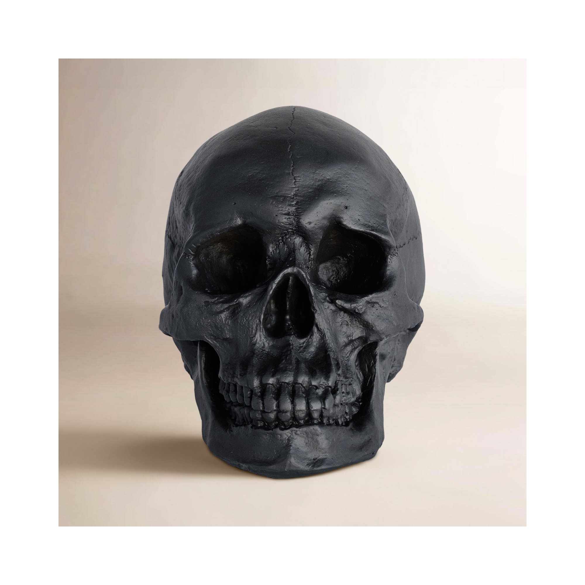 Muscogee Replica Faux Taxidermy Human Skull Figurine, Black