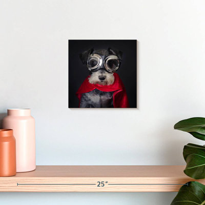 Crown superhero schnauzer