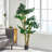 71" H Artificial Monstera Tree