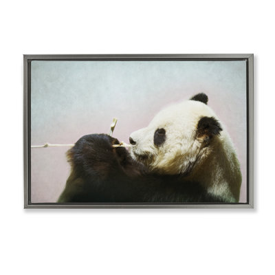 Wild Panda & Bamboo Floating Frame, design by Roberta Murray