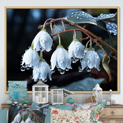 Photo charme de neige en hiver