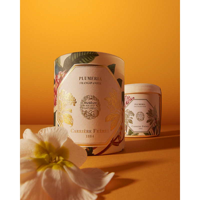 Frangipani Candle