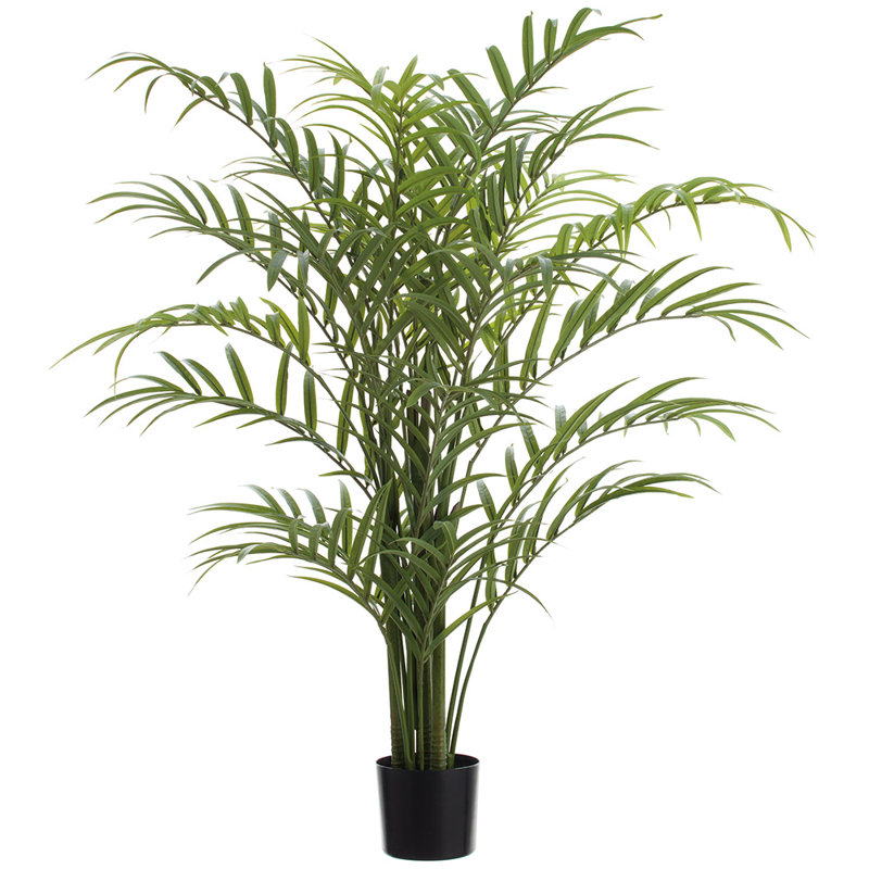 Palmier 82,5 po dans un pot en plastique