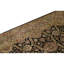 Wool Oriental Area Rug in Black/Yellow/Red