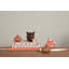 Saga Stoneware Storage Jar-639243981