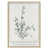 Brown Framed Paper is unavailable