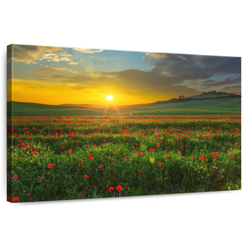 Coquelicots d'Alvord en Toscane, H 32 po x l 48 po