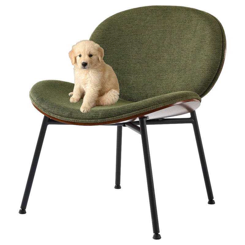 Chaise en métal avec pieds en métal noir, Vert