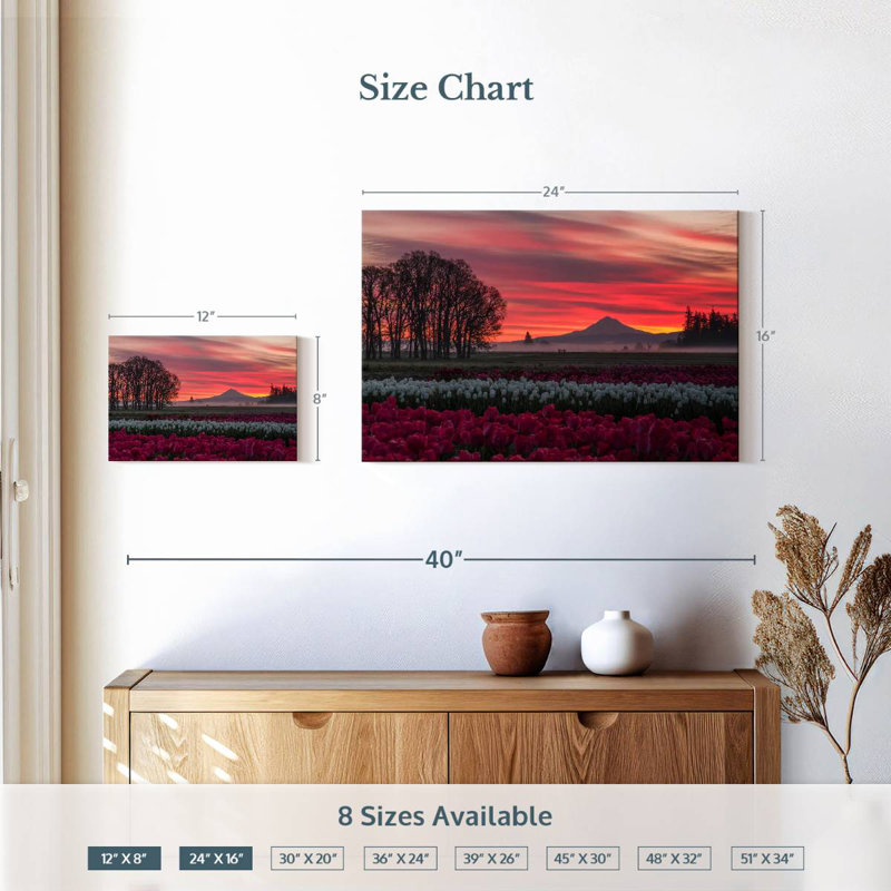 Alvord Tulip Field Sunset, 16" H x 24" W