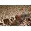 Chantel Oriental Area Rug