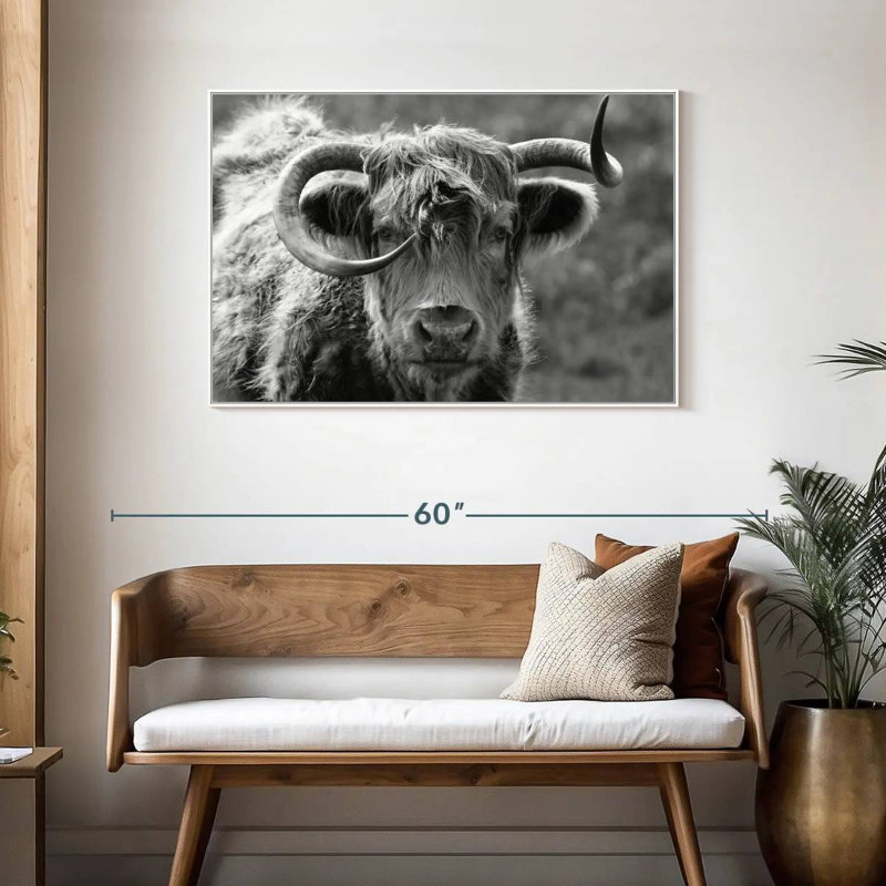 Vache Highland monochrome, Cadre flottant blanc, 43 po x 29 po
