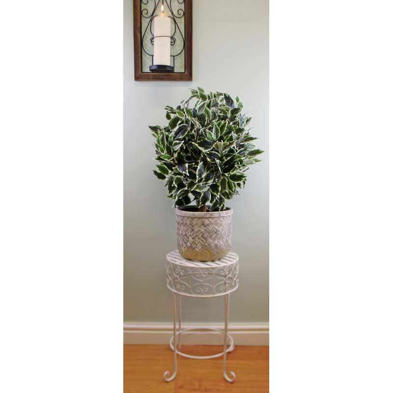 Coffield Metal Plant Stand