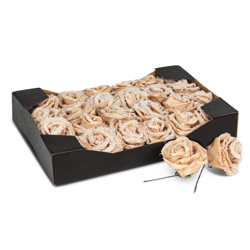 Rosettes roses en pot