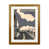 Brown Framed