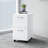 Easy Office 20'' Wide 2 -Drawer Mobile File Cabinet