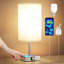 Lingebach Metal USB Table Lamp-1459223717