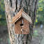 Rustic Barkwood Mounted Bird House