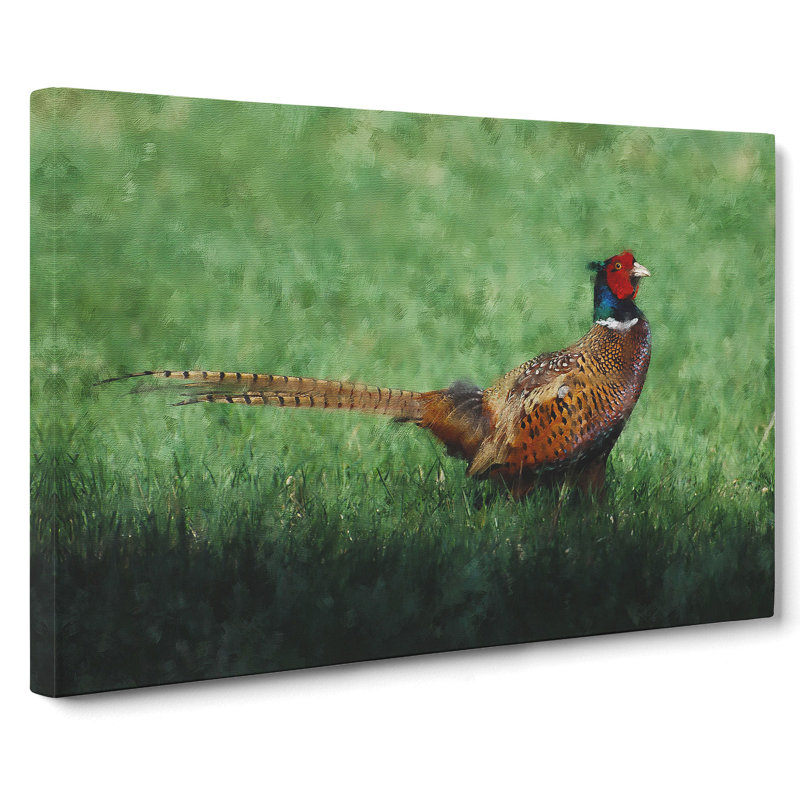 Pheasant Bird Vol.2 - Wrapped Canvas, 35cm H x 50cm W x 3cm D
