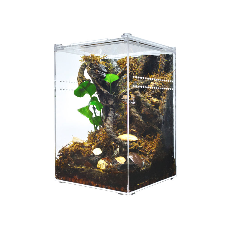 Acrylic Reptile Terrarium, 3 Gallon - 12"H x 8"W x 8"D