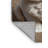 Washable Exotic Shorthair Cats Area Rug-994716326