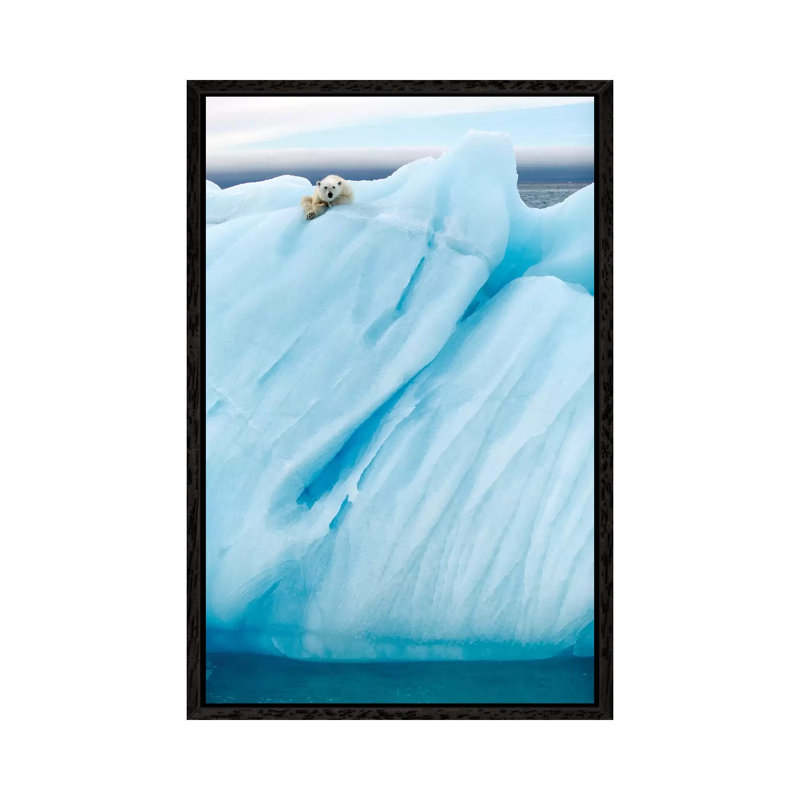 Observing 1 Piece Wall Art on Canvas, 66.04cm H x 45.72cm W x 3.81cm D, Black Framed