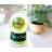 Cloche Or Water Globe