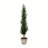 Artificial Potted Cedar Tree Full-1153616944
