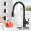 Belfry Kitchen Kitchen Faucet-1732006412