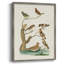 «Antique Birds in Nature III», reproduction encadrée - bois massif-714658256