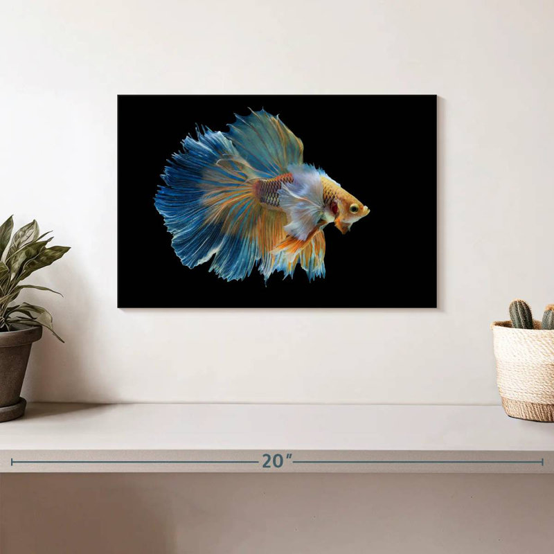 Brampt Sublime Fighter Fish, 8" H x 12" W