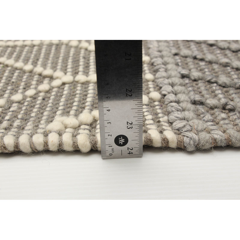 Demarionna Performance Hand Knotted Wool Rug
