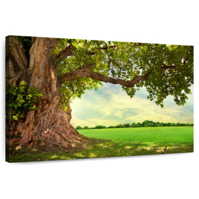 Arbre vert robuste Harnek