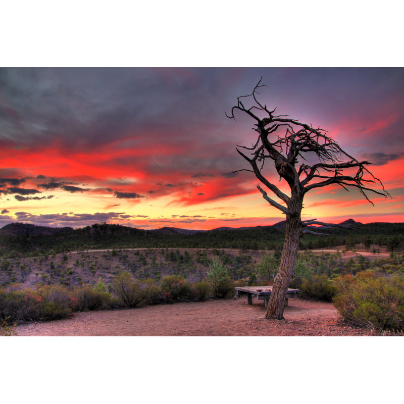 Flinders Ranges National Park by Totajla - Wrapped Canvas Print, 20cm H x 30cm W