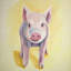 Cochon solitaire - Reproduction matte encadrée pour le décor de la chambre à coucher-541801470